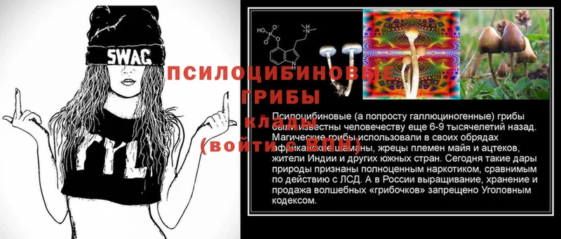 Псилоцибиновые грибы Cubensis  где купить наркотик  Кремёнки 